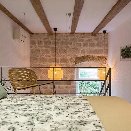 Cactus Apartment